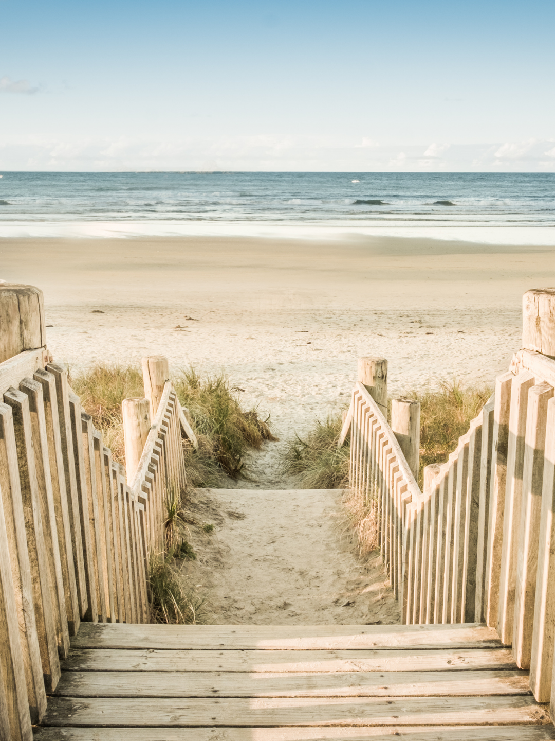 Ultimate – Total Transformation