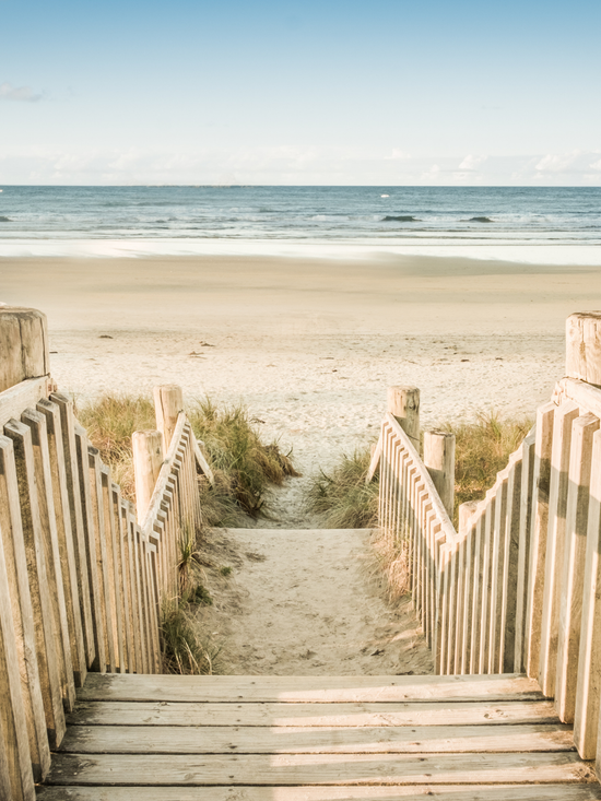 Ultimate – Total Transformation